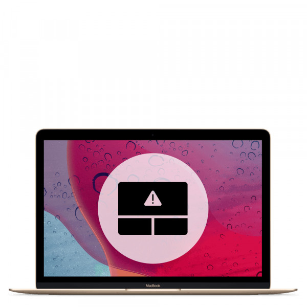Macbook Pro 17" A1297 замена trackpad