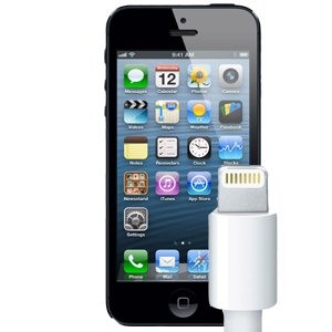 iPhone 5c замена зарядного порта